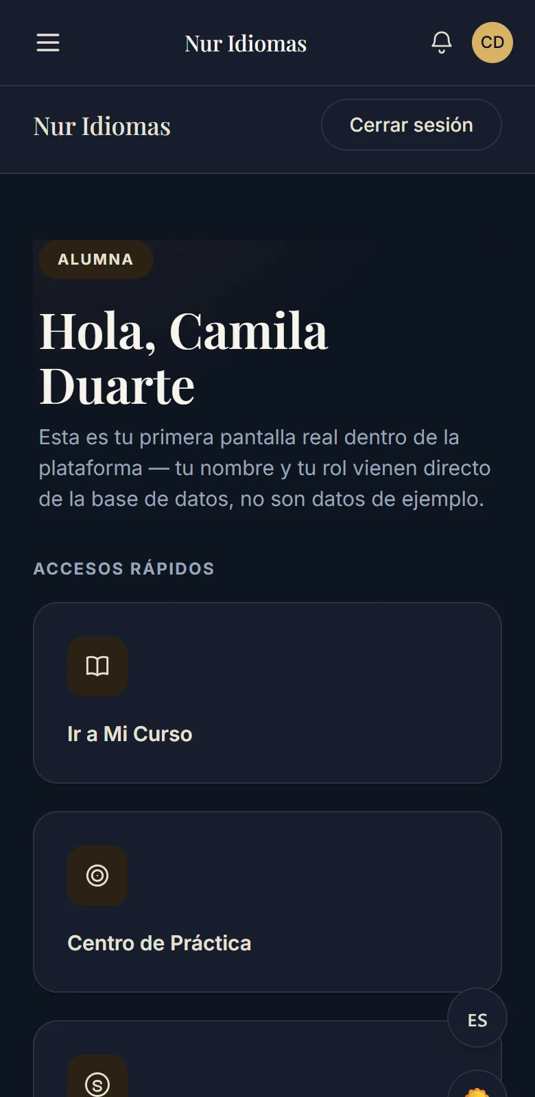 Painel do aluno da Nur aberto no celular